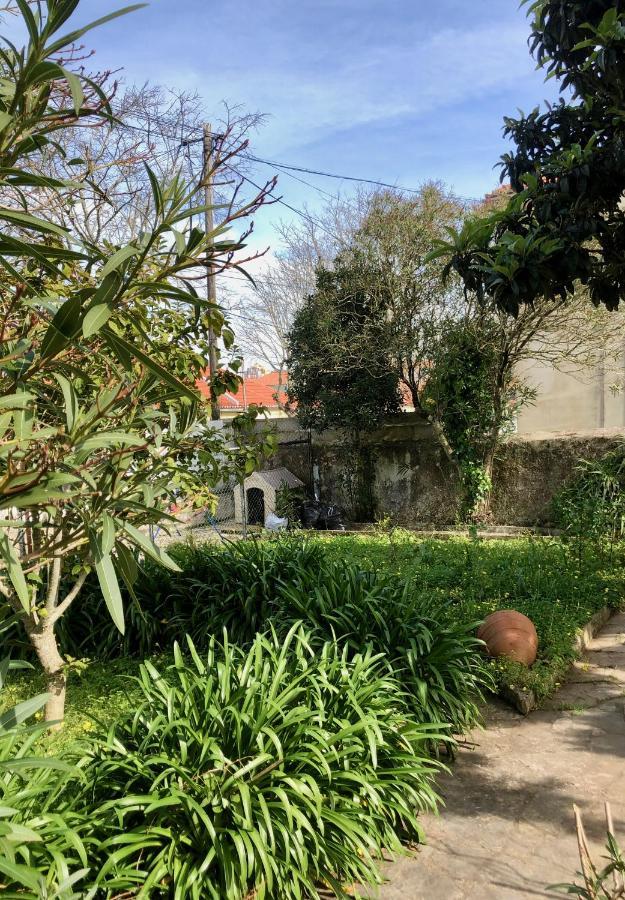 Sintra Nomad Lodge Eksteriør billede