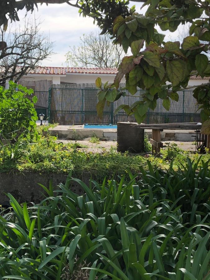 Sintra Nomad Lodge Eksteriør billede